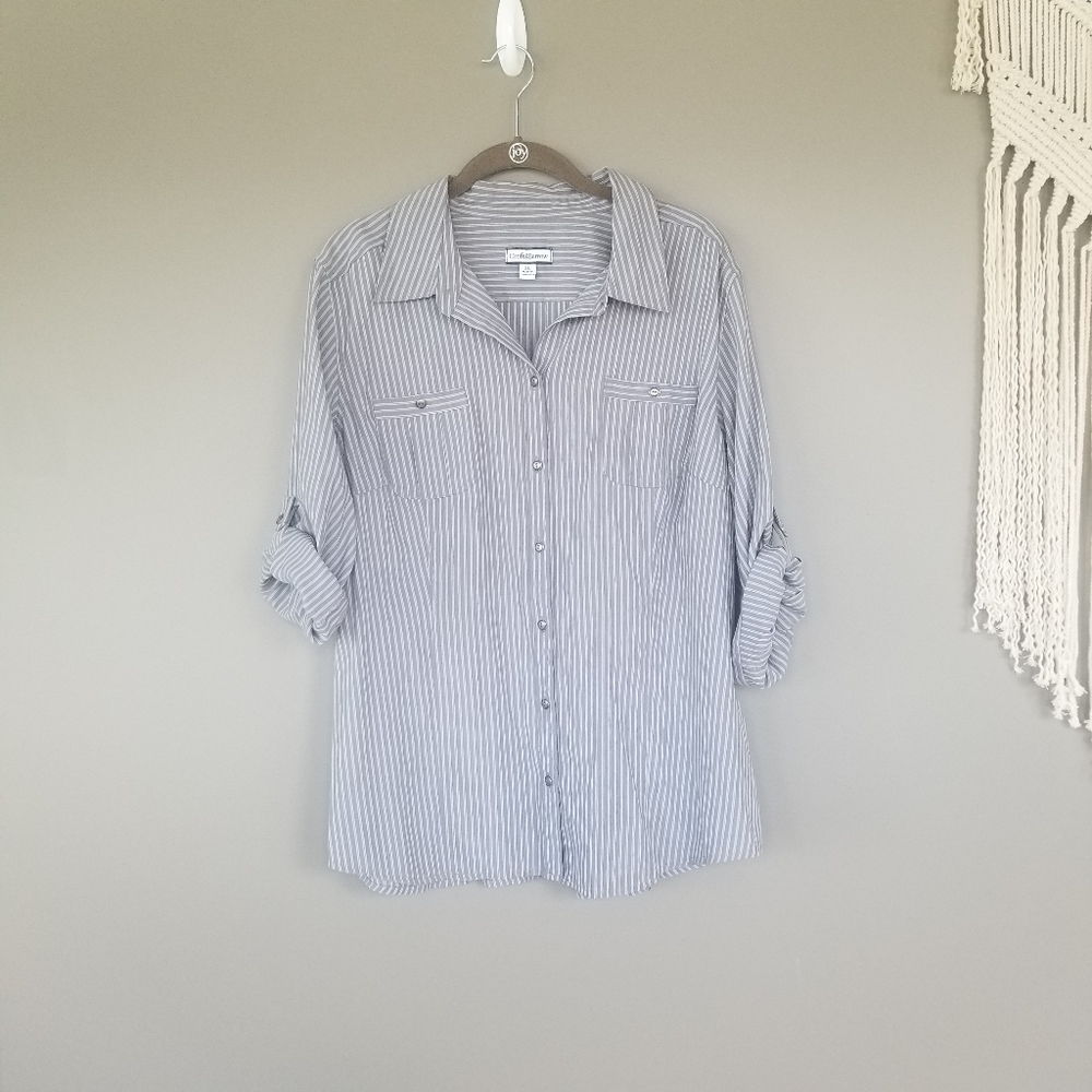 🎆Croft&Barrow | Button Down